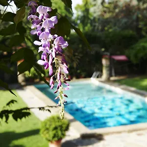 Hotel Park Palace, Florencia