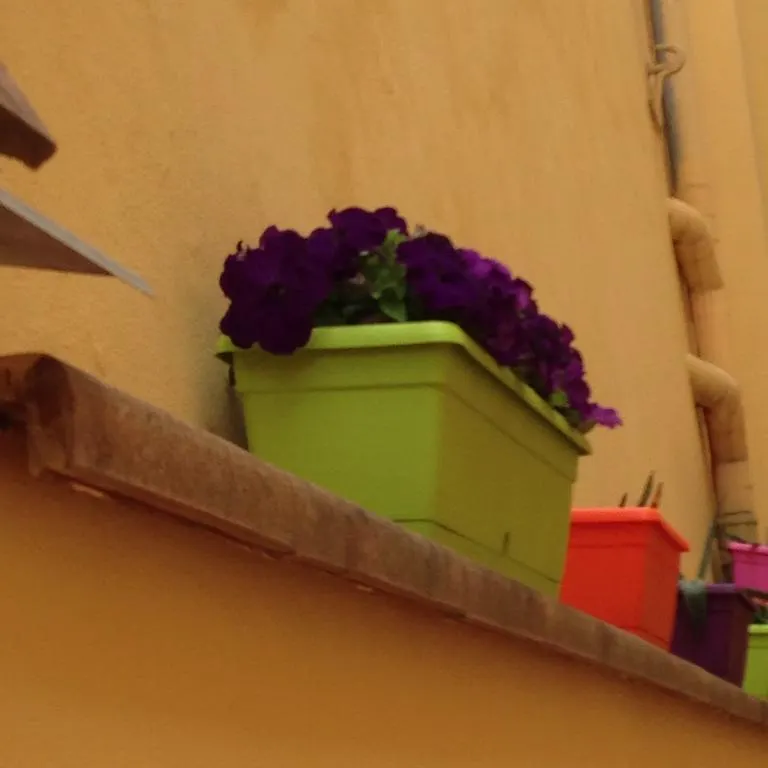 Cosy House Bed and Breakfast Φλωρεντία